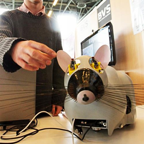 Робот-крыса из Франции Робот-крыса из Франции