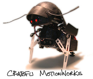 SwashBot SwashBot