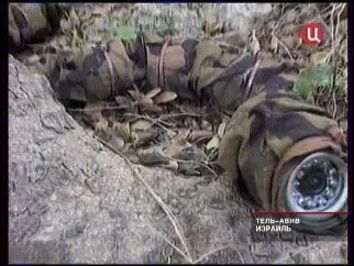 змея-робот змея-робот