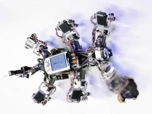 Походка робота регулируется ритмами и хаосом